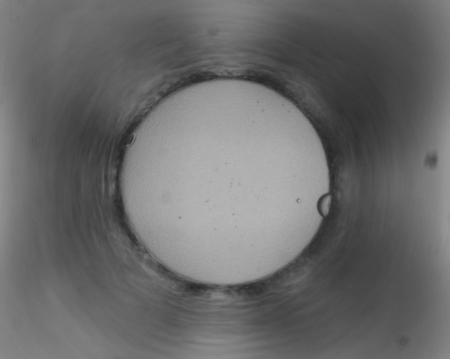 X0000115200697200911251443