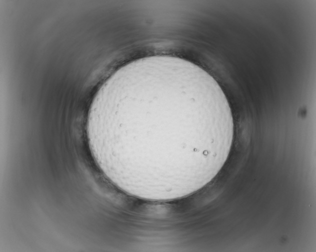 X0000115200698200911251443
