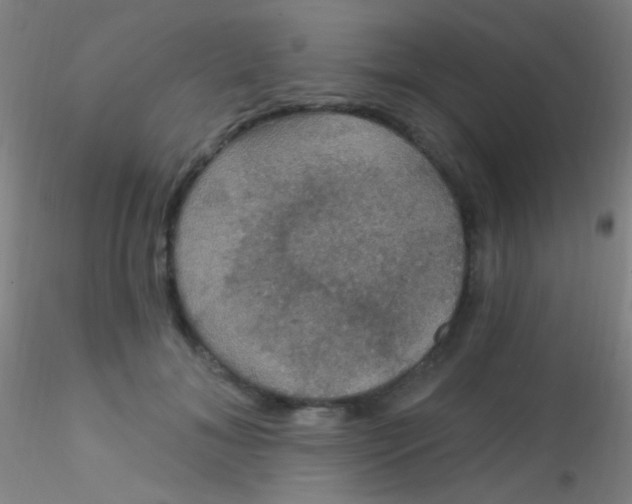 X0000115200700200911251443