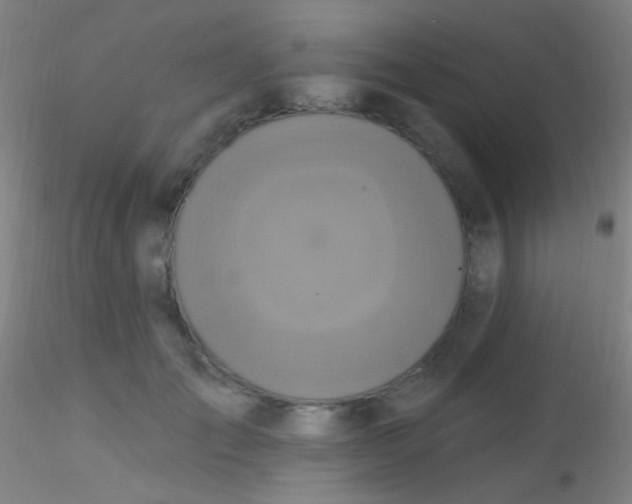X0000115200701200911251443