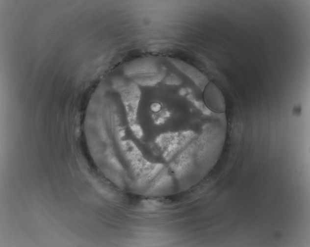 X0000115200703200911251443
