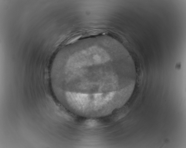 X0000115200704200911251443