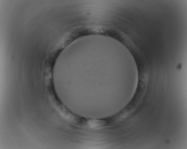 X0000115200707200911251443