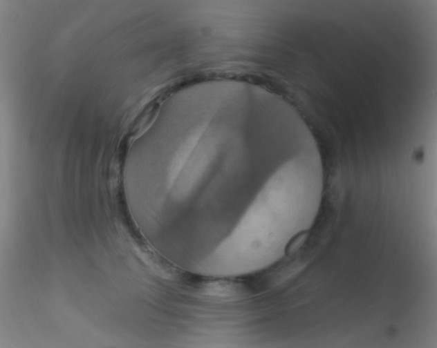 X0000115200708200911251443