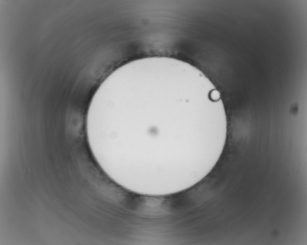 X0000115200709200911251443