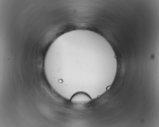 X0000115200710200911251443
