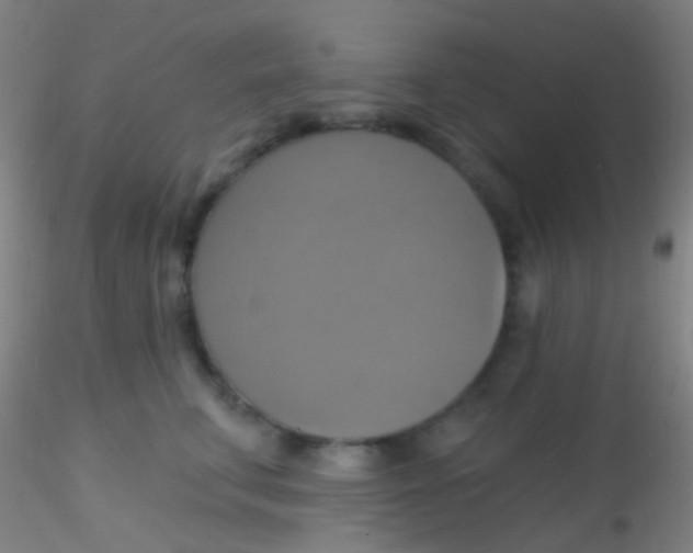X0000115200711200911251443