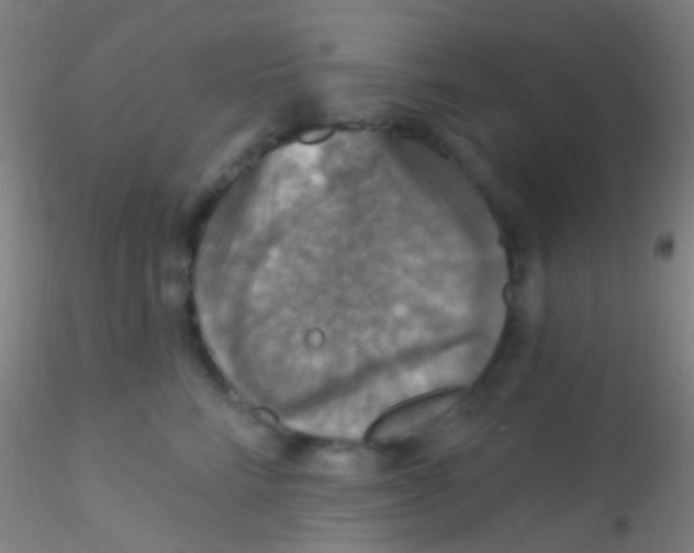 X0000115200712200911251443