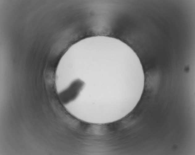 X0000115200713200911251443