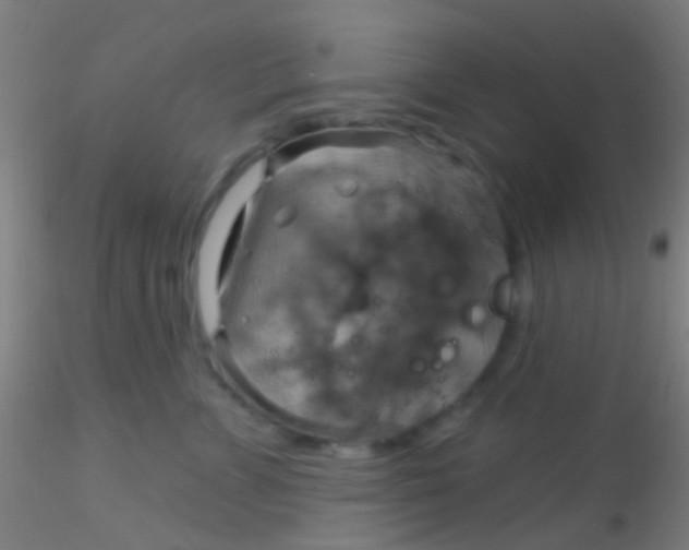 X0000115200715200911251443