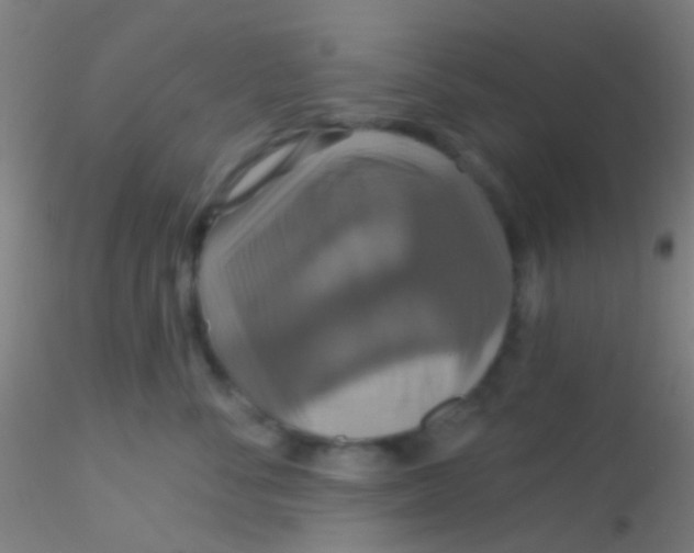 X0000115200716200911251443