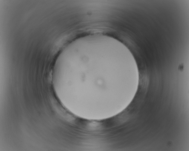 X0000115200718200911251443