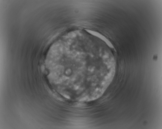 X0000115200719200911251443