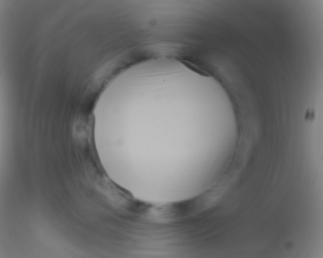 X0000115200720200911251443