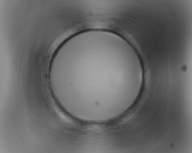 X0000115200721200911251442