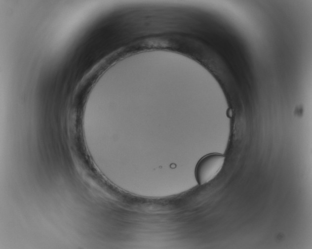 X0000115200722200911251442