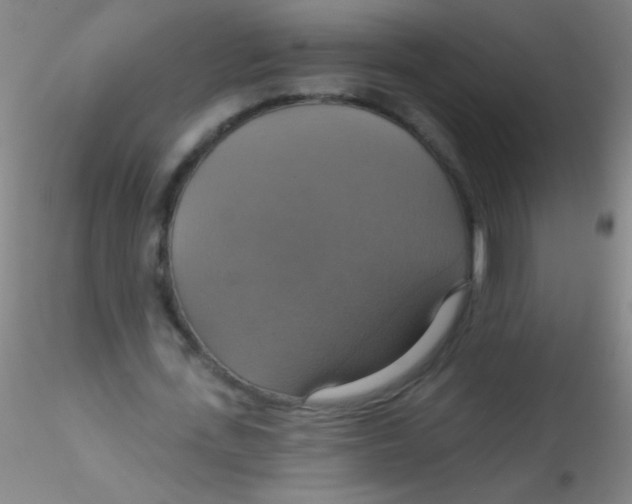 X0000115200723200911251442