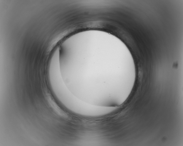 X0000115200725200911251442