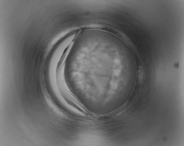 X0000115200726200911251442