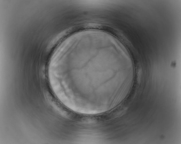 X0000115200729200911251442
