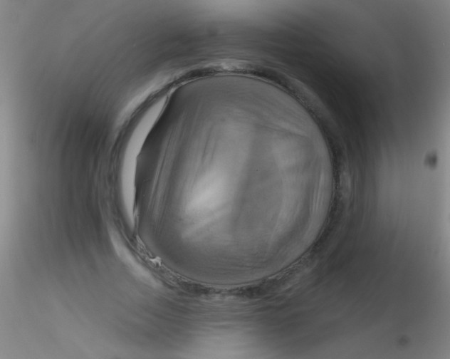 X0000115200730200911251442