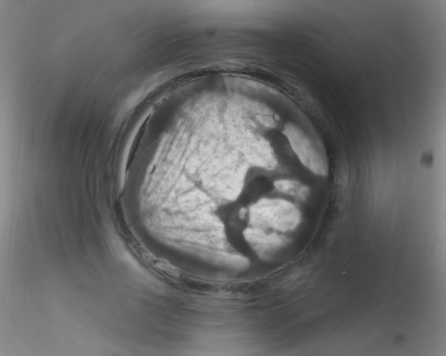 X0000115200734200911251442