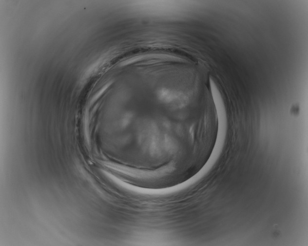 X0000115200735200911251442