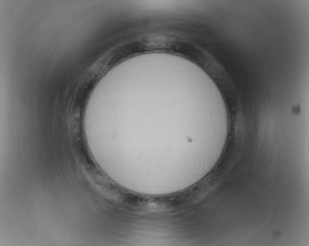 X0000115200737200911251442