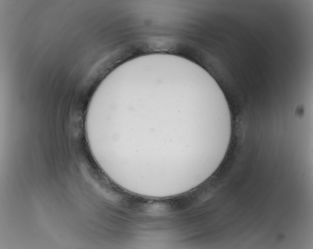 X0000115200741200911251442