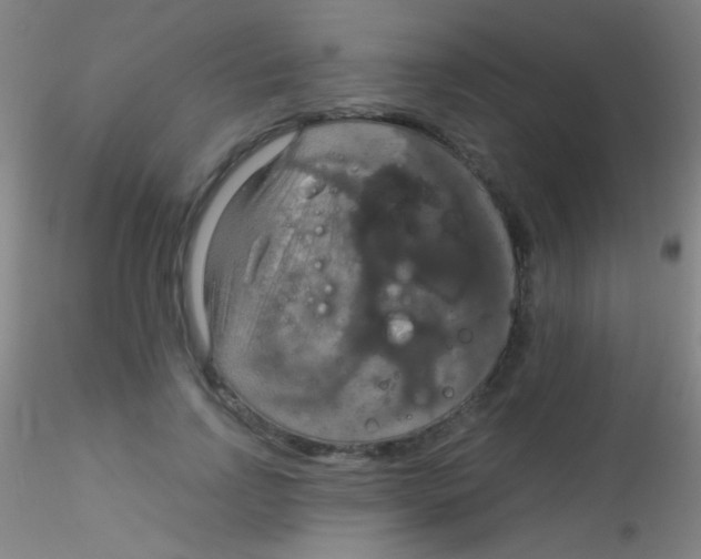 X0000115200742200911251442