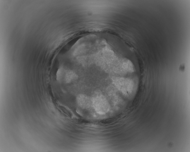 X0000115200743200911251442