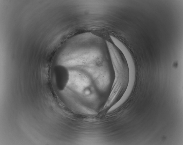 X0000115200745200911251442