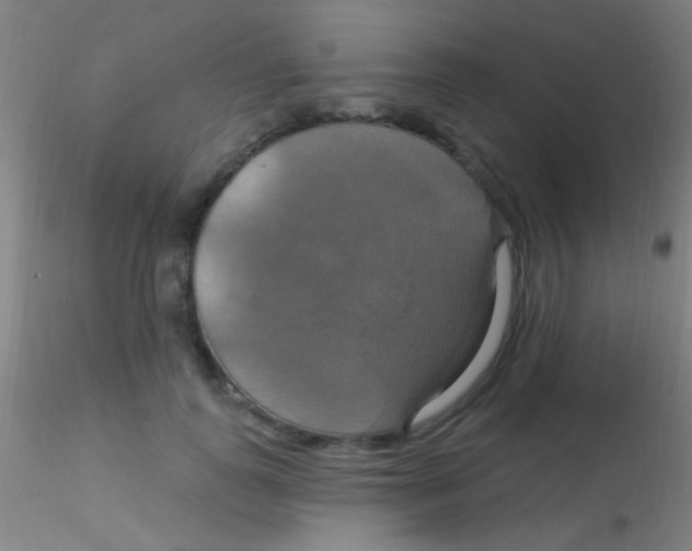 X0000115200747200911251442