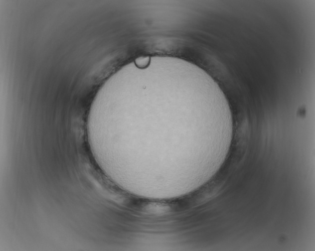 X0000115200749200911251442
