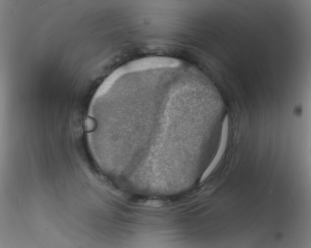 X0000115200751200911251442