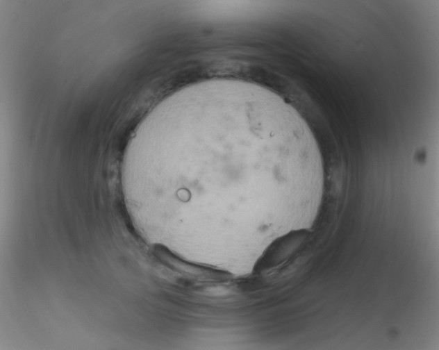 X0000115200753200911251442