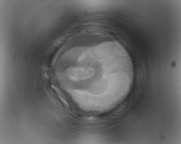 X0000115200755200911251442