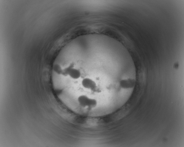 X0000115200757200911251442