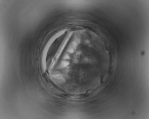 X0000115200758200911251442