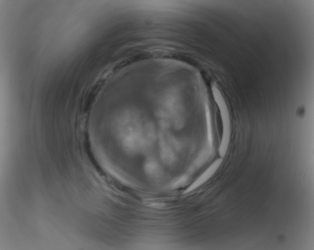X0000115200759200911251442