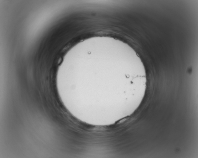 X0000115200762200911251443