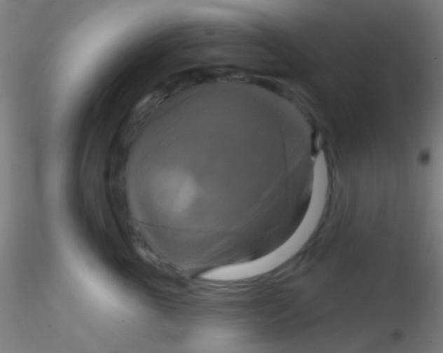 X0000115200763200911251443