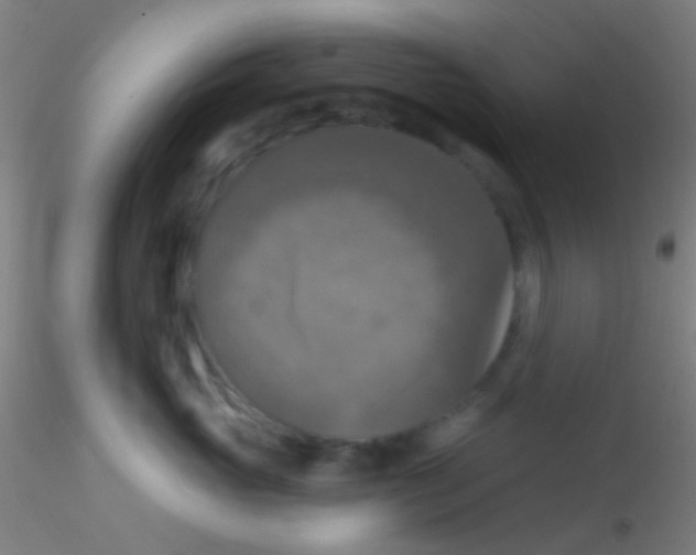 X0000115200765200911251443