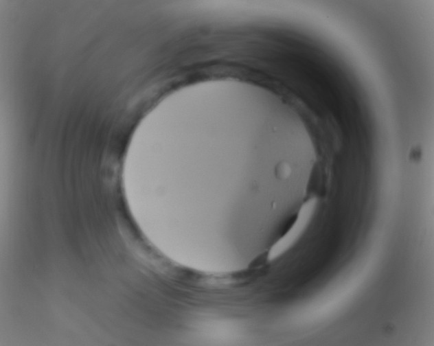 X0000115200767200911251443