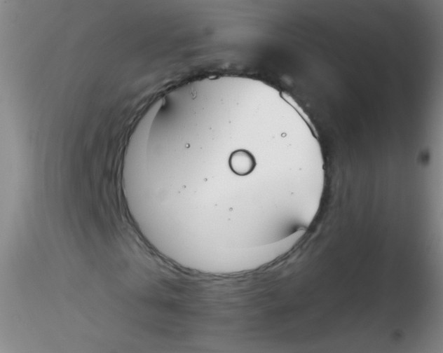 X0000115200769200911251442