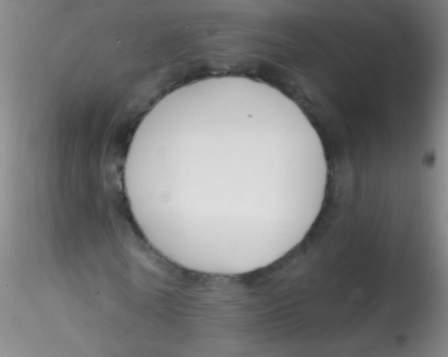 X0000115200770200911251442