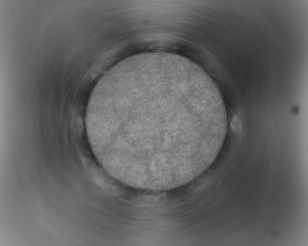 X0000115200771200911251442