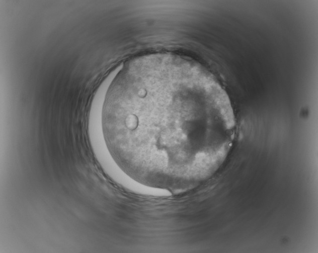 X0000115200772200911251442