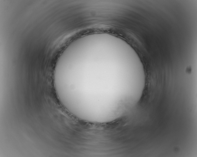 X0000115200773200911251442