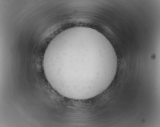 X0000115200774200911251442
